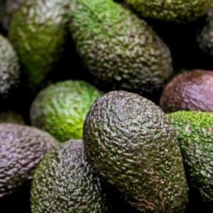 Avocat