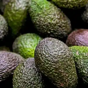 Avocat