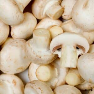 Champignon de Paris