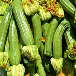 Courgettes