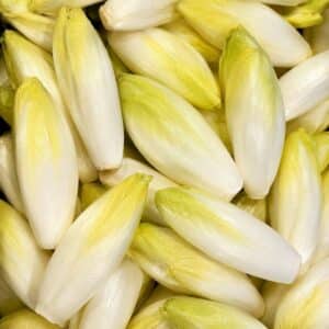 Endive