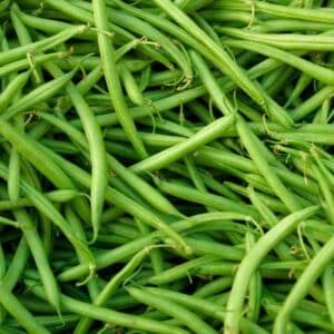Haricots verts