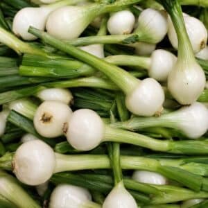 Oignon blanc tige