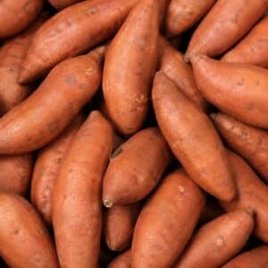 Patate douce