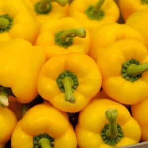 Poivron jaune