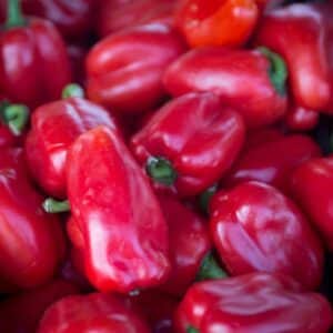Poivron rouge