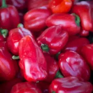 Poivron rouge 1 kg