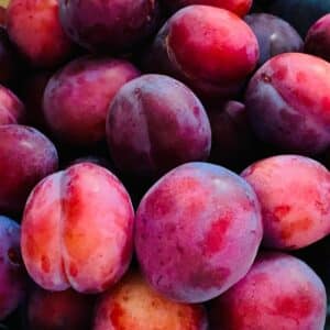 Prune