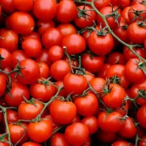 Tomate cerise