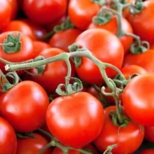 Tomate ronde