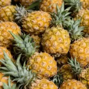 Ananas Victoria
