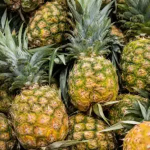 Ananas bateau pièce