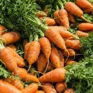 Carottes 1 kg