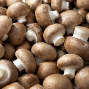 Champignon de Paris brun 500g