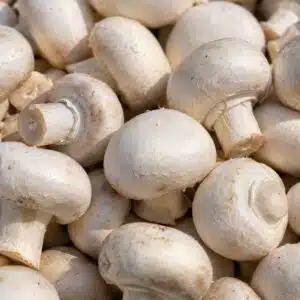 Champignon de Paris gros 500g