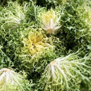 Frisée fine