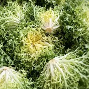 Frisée fine