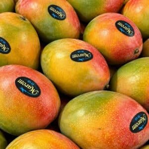 Mangue-avion