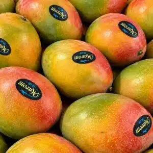 Mangue-avion