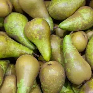 Poire Conférence 1 kg
