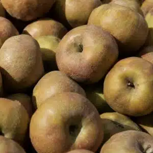 Pomme Canada 1kg