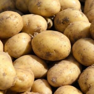 Pomme de terre Agata 1kg