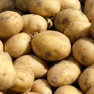Pomme de terre Agata 1kg