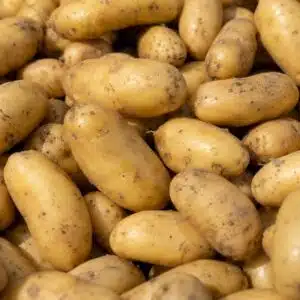 Pomme de terre Charlotte