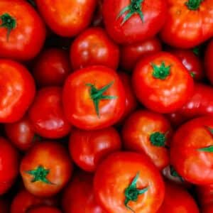 Tomate ronde BIO 1kg