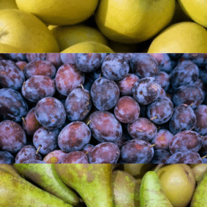 Le PETIT  fruits