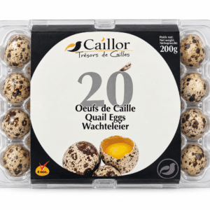Oeufs de caille X20