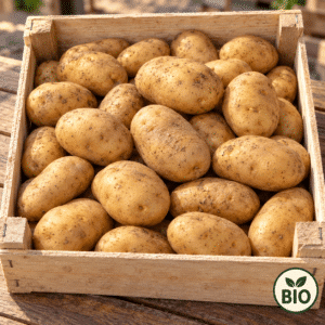 Pomme de terre BIO 1kg