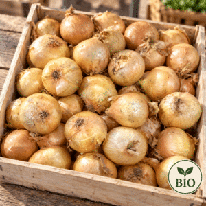 Oignon jaune BIO 1kg