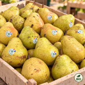 Poire Guyot BIO 1kg