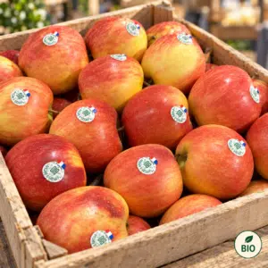 Pomme Gala BIO 1kg