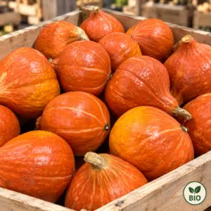 Potimarron BIO 1kg